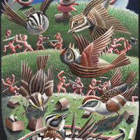 Morgan Bulkeley'swork, Book: White-crowned Sparrow, Vesper Sparrow, et al Mask